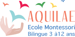 Logo Aquilae