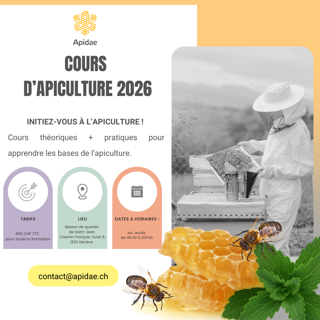 Cours d'apiculture